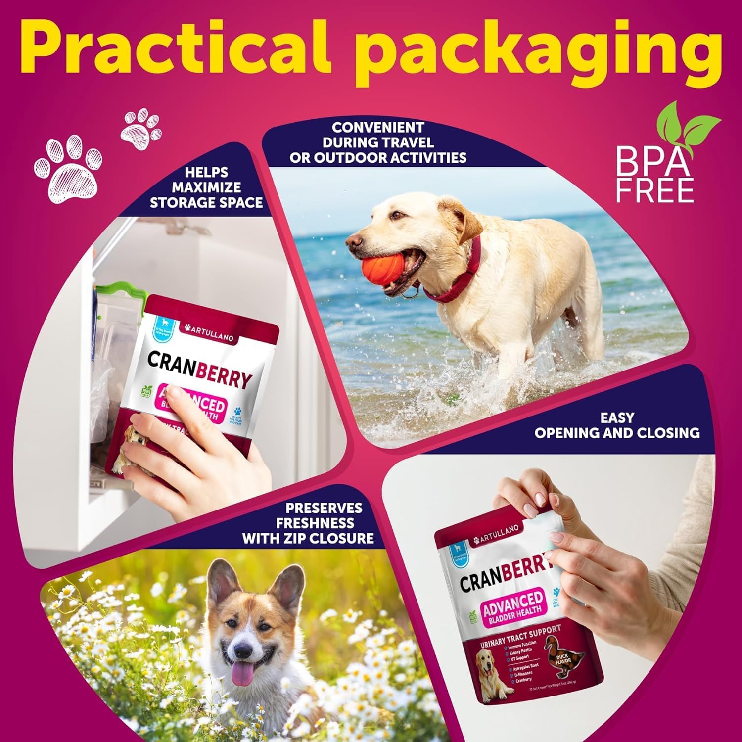Cranberry Dog UTI Supplement - Bladder Control & Incontinence Pill - Treats Urinary Tract Infections, Bladder Stones - 70 Soft Chews for Kidney Support