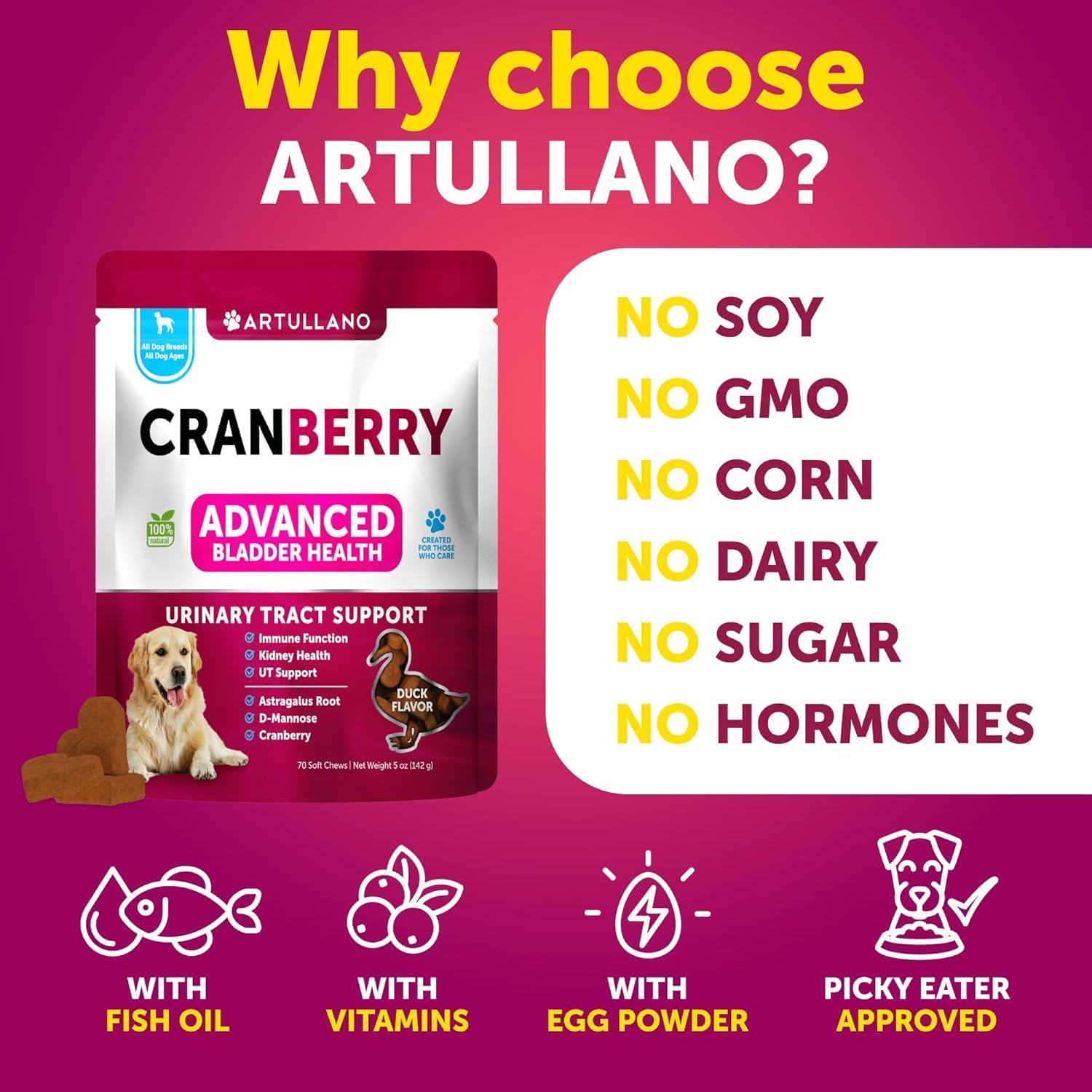 Cranberry Dog UTI Supplement - Bladder Control & Incontinence Pill - Treats Urinary Tract Infections, Bladder Stones - 70 Soft Chews for Kidney Support