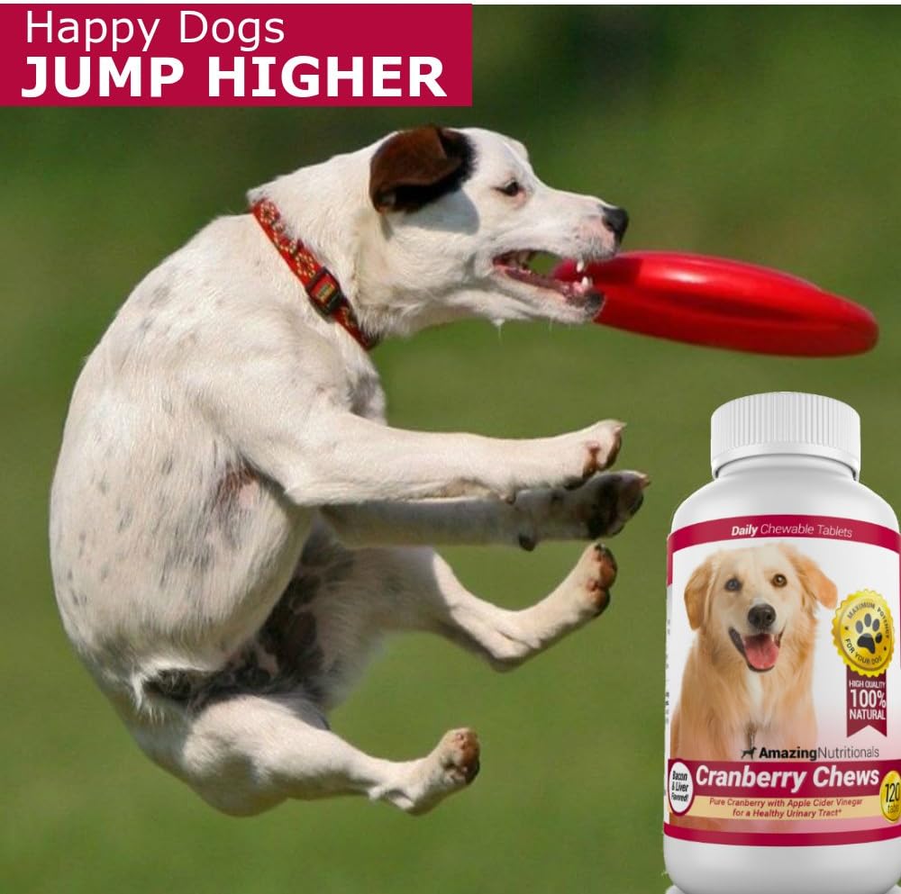 Cranberry for Dogs Pet Antioxidant & UTI Support Chews - 120 Count