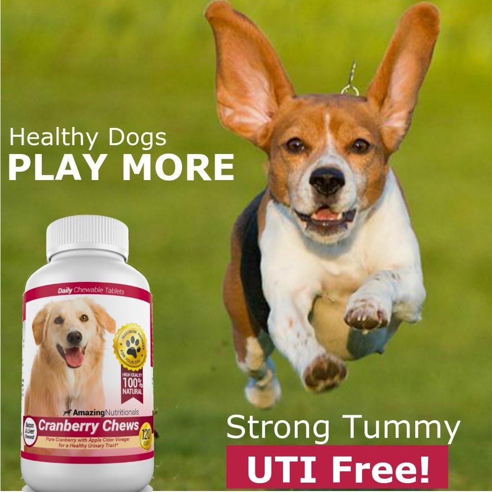 Cranberry for Dogs Pet Antioxidant & UTI Support Chews - 120 Count