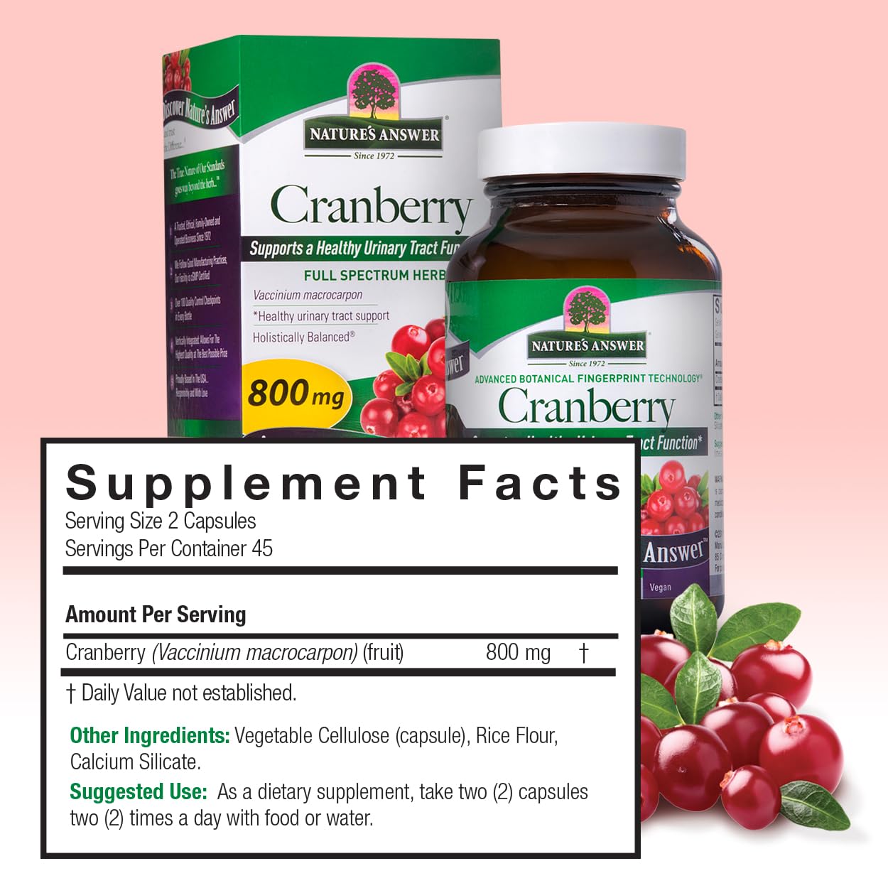 Cranberry Fruit Capsules for Urinary Tract Support - 90 Count, Vegetarian & Natural Detoxifier for Healthy Bladder Function