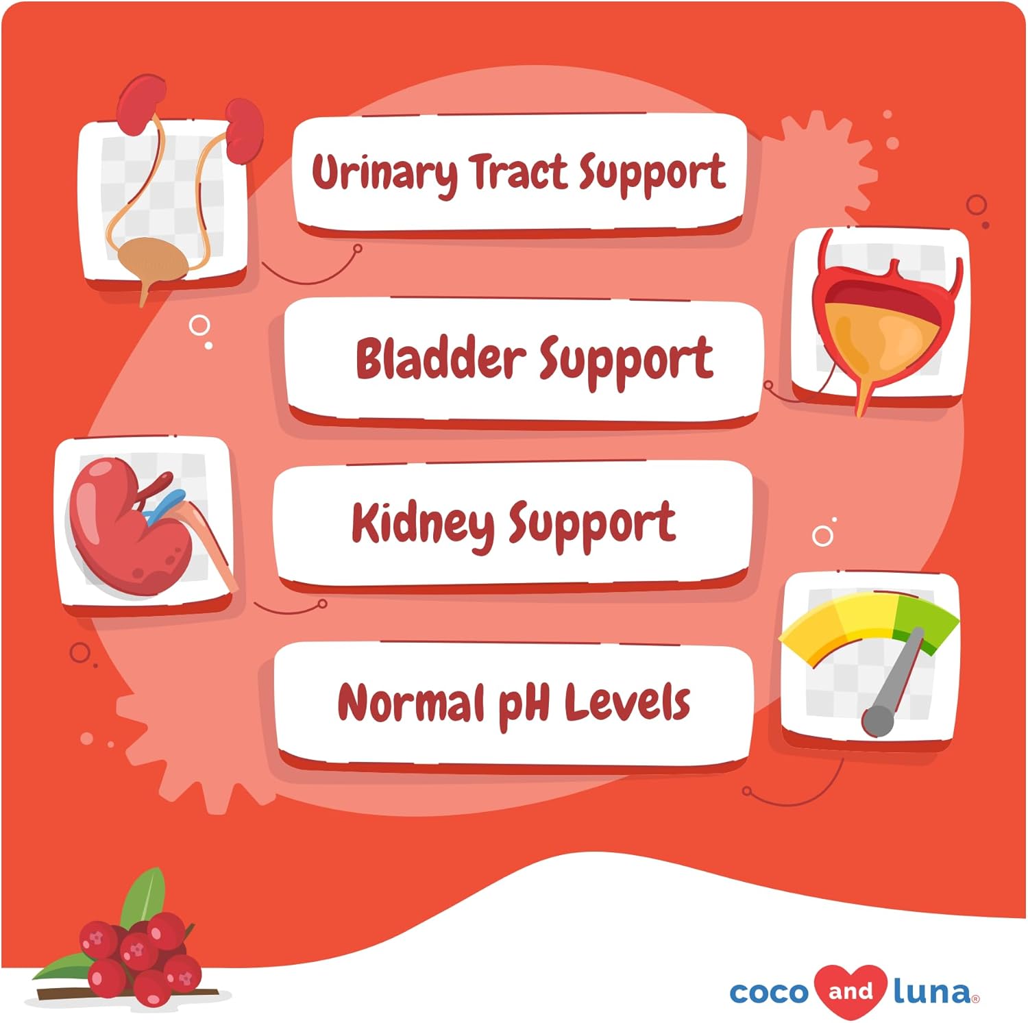 Cranberry Soft Chews for Dogs - Supports Urinary Tract, Bladder Health, UTI Prevention - 90 Chews