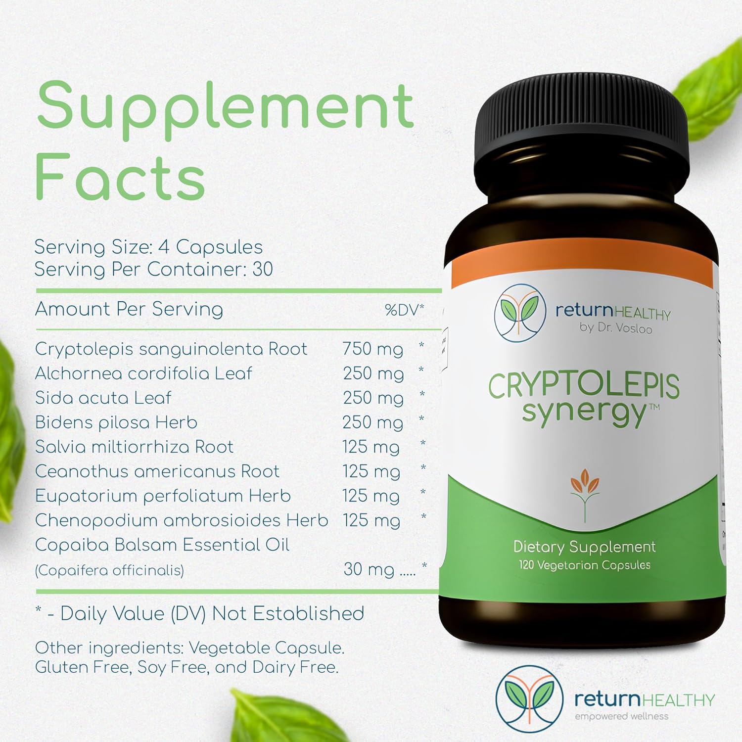 Cryptolepis Synergy: Immune System Booster & Liver Support Supplement for Adults - 120 Capsules