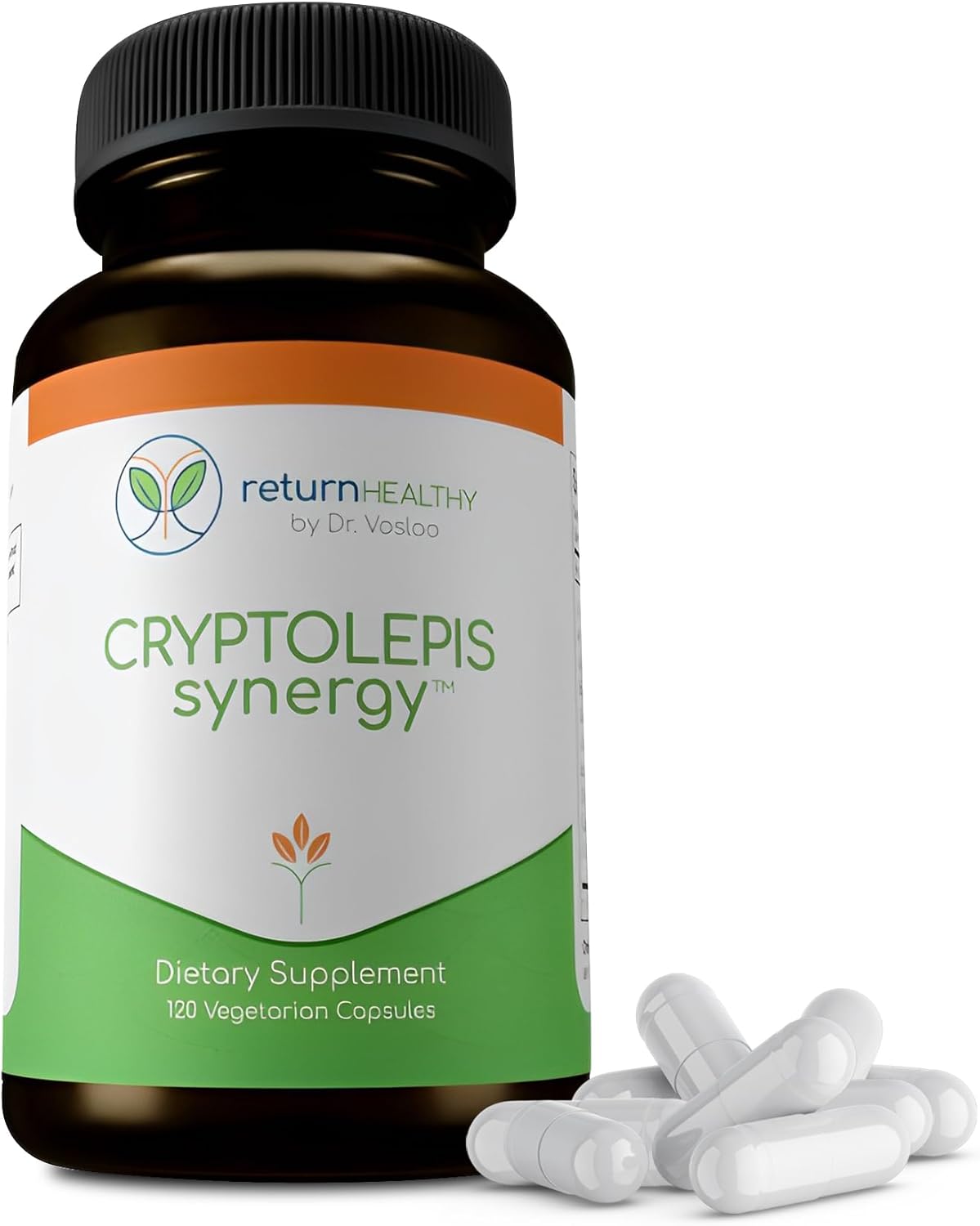Cryptolepis Synergy: Immune System Booster & Liver Support Supplement for Adults - 120 Capsules