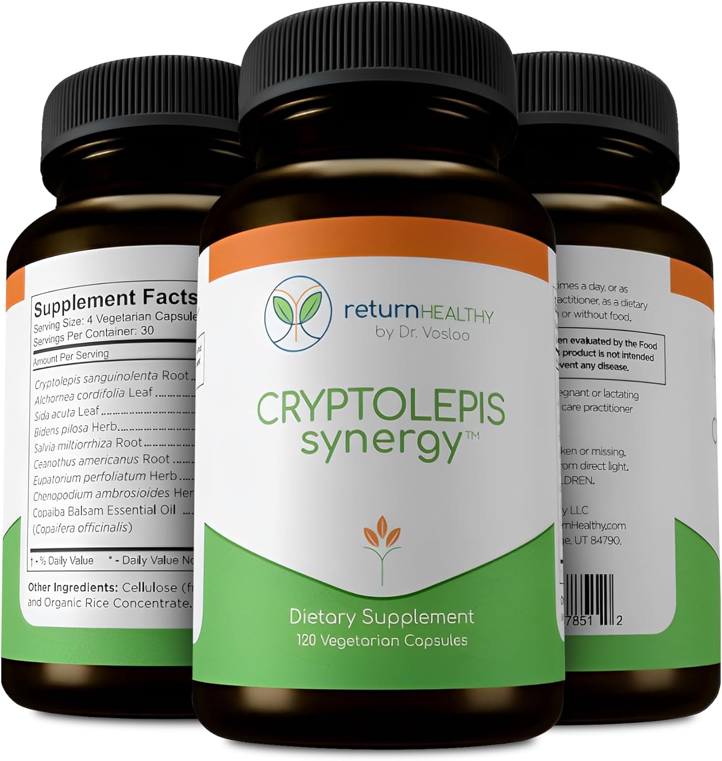 Cryptolepis Synergy: Immune System Booster & Liver Support Supplement for Adults - 120 Capsules