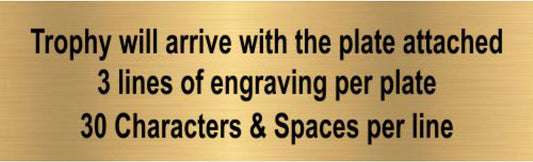 Customizable 14 Inch Tall Football Sport Motion All Star Column Trophy - Engraved Gridiron Award - Decade Awards
