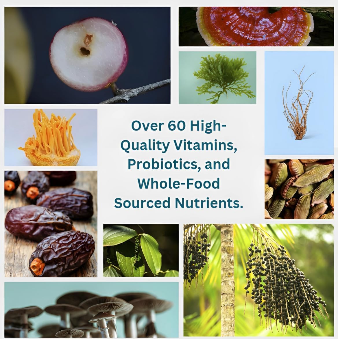 Daily Superfood Complex Powder with 60+ Vitamins, Minerals, Stress Adaptogens, Probiotics - 30 Servings