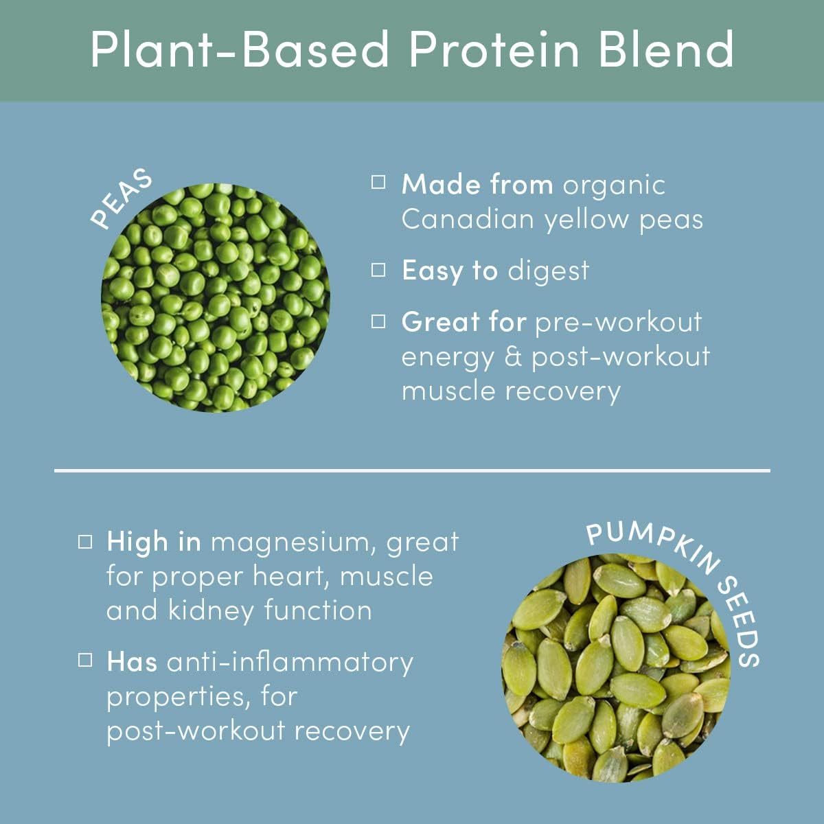 Dairy-Free Chocolate Plant-Based Protein Powder for Women - Non-GMO Pea & Chia Seed Protein, Oat Milk, Gluten-Free, Kosher - 14 Servings, 15g Protein