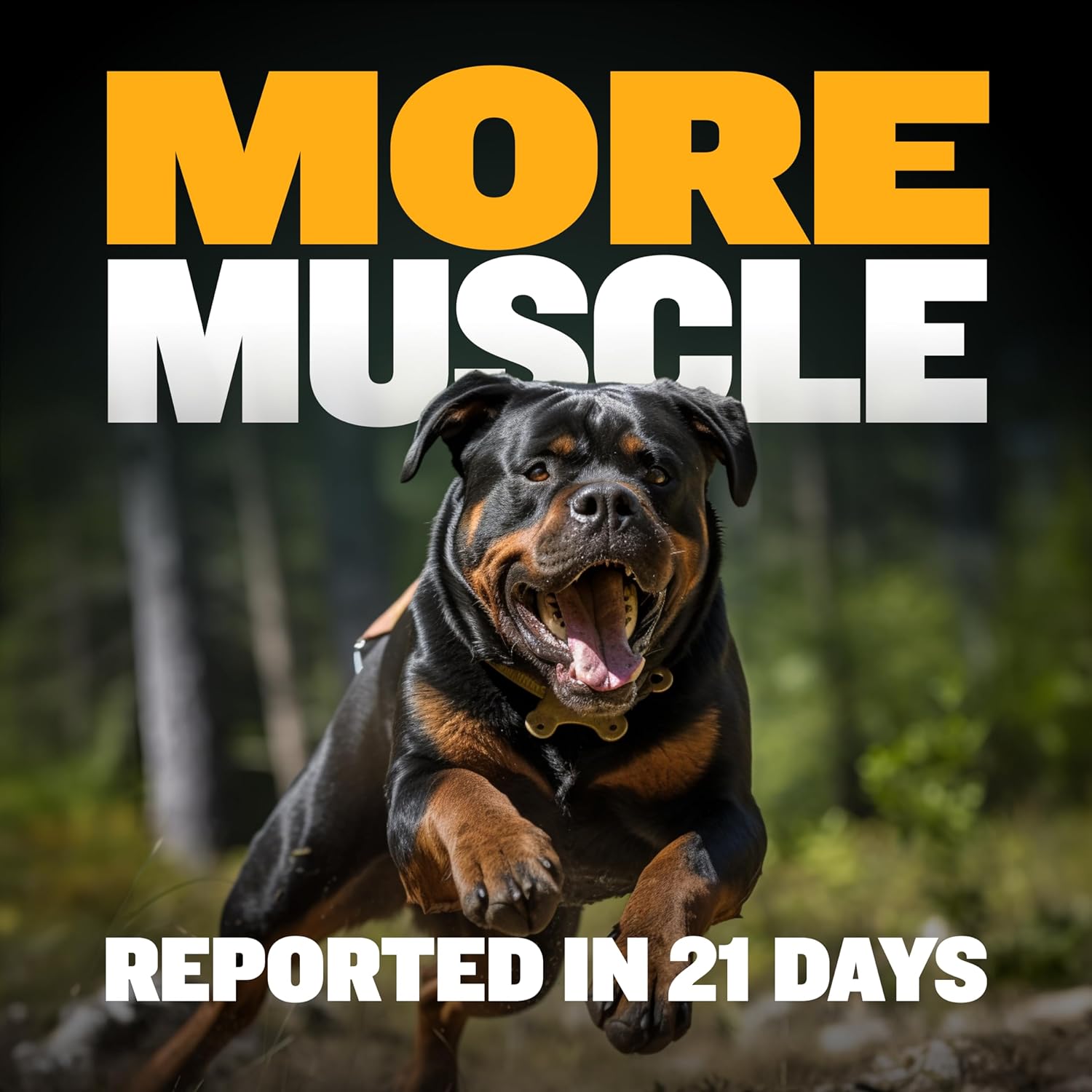 Delicious Bully Max Muscle Builder Soft Chews for Dogs - Training Supplements for Muscle Gain - Dog Food Topper for All Breeds & Ages