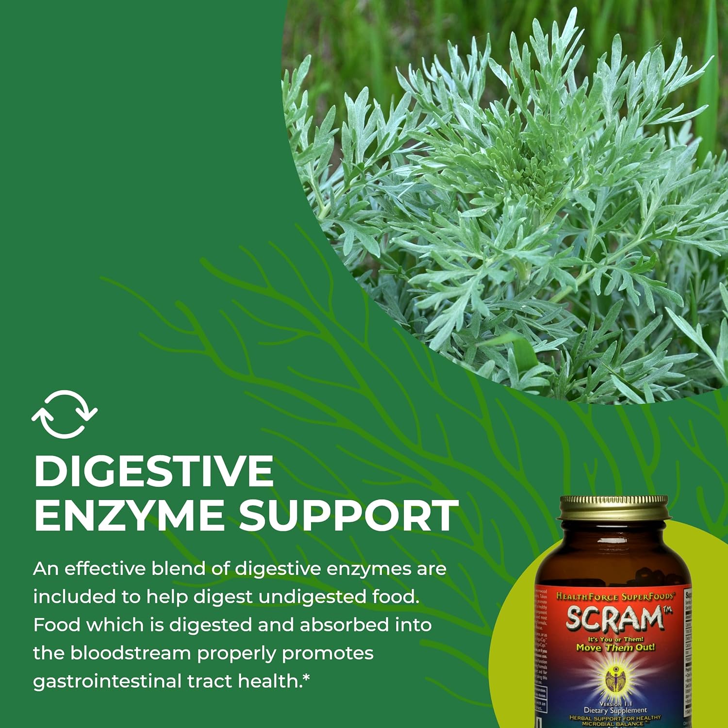 Digestion Support Capsules with Milk Thistle, Wormwood & Black Walnut - 150 Vegan Capsules by HealthForce SuperFoods