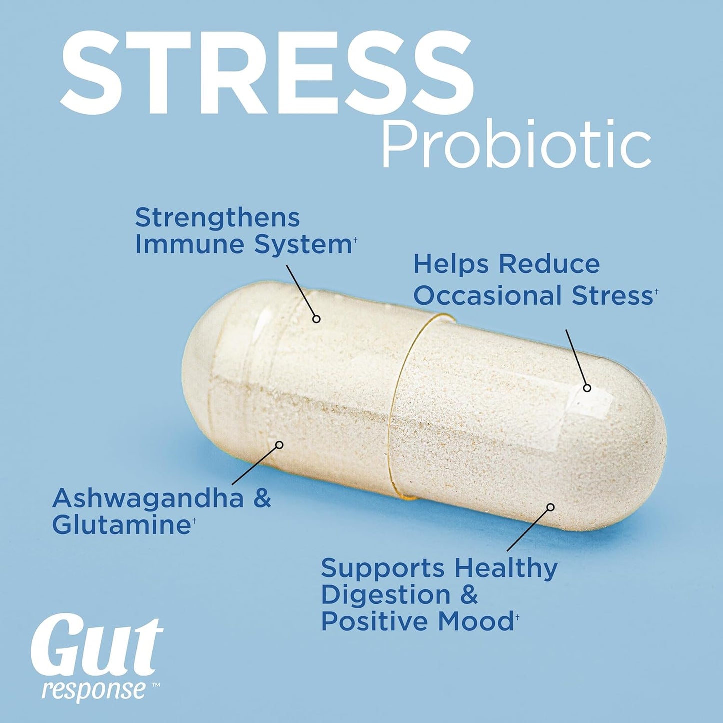 Digestive Aging Slow Down Probiotic with Ashwagandha, L-Glutamine - Non-GMO, Gluten-Free, Vegan - 5 Billion CFU - 30 Caplets