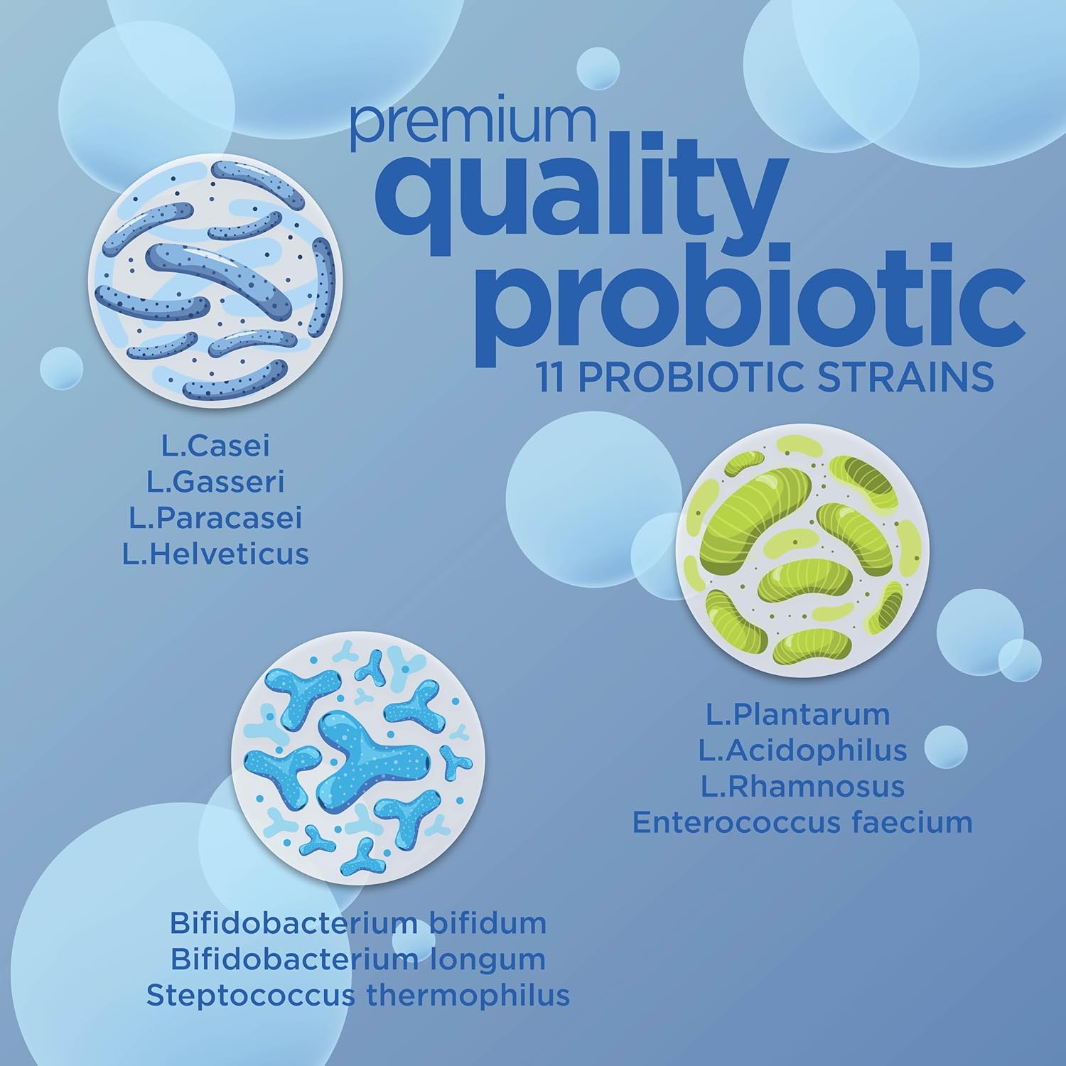 Digestive Aging Slow Down Probiotic with Ashwagandha, L-Glutamine - Non-GMO, Gluten-Free, Vegan - 5 Billion CFU - 30 Caplets