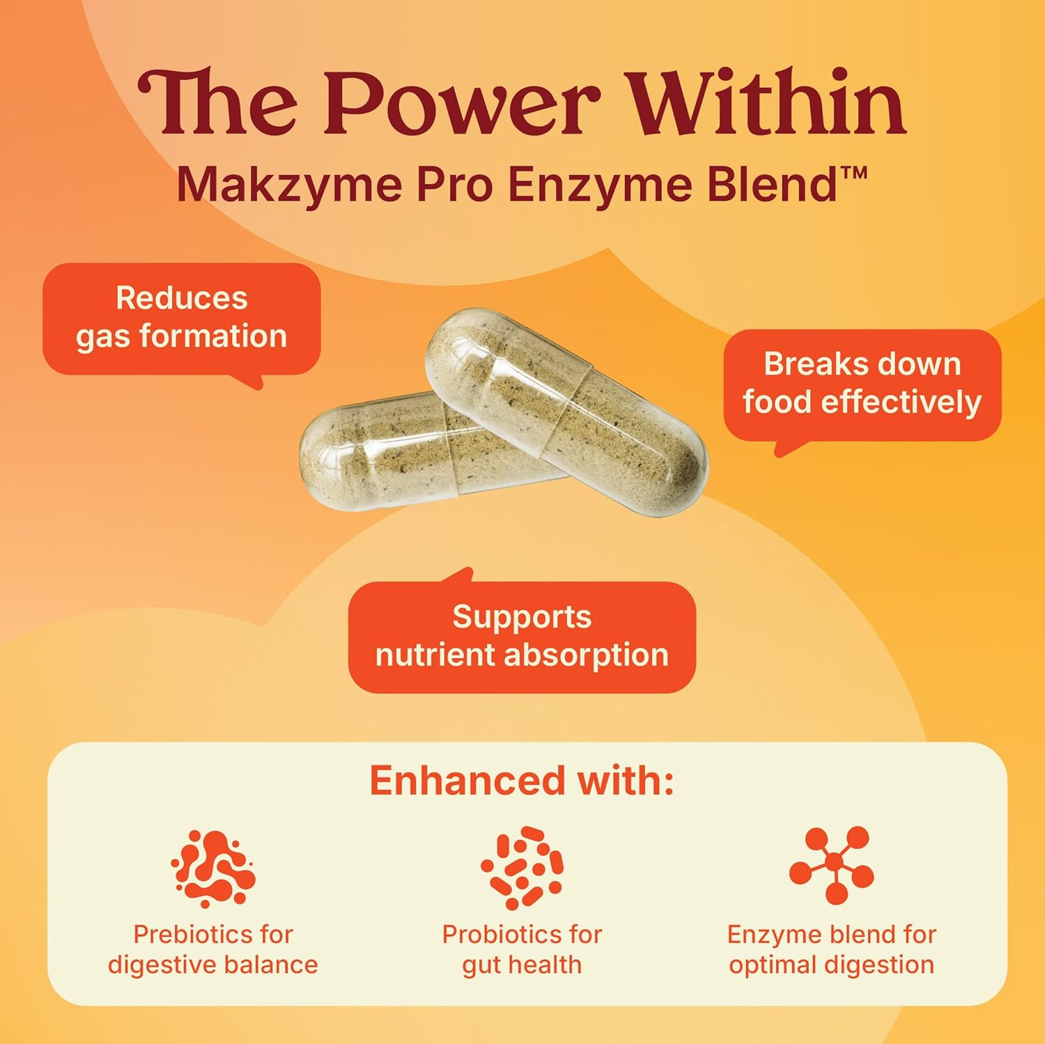 Digestive Enzymes & Probiotic Capsules for Bloating Relief and Digestive Health - 60 Count