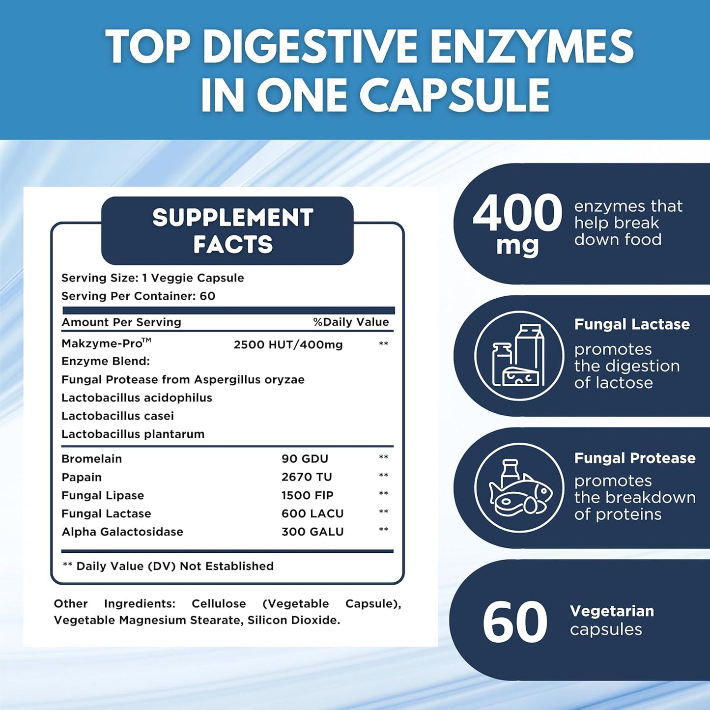 Digestive Health Enzyme Blend Supplement with Probiotics - 60 Capsules for Enhanced Digestion