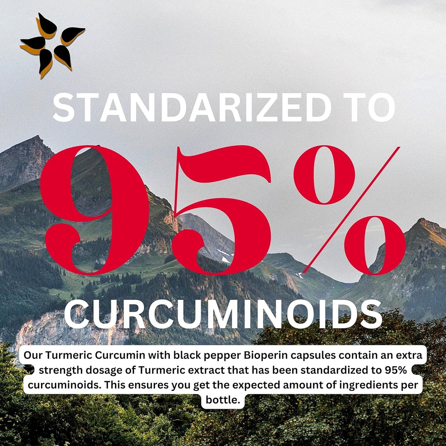 Discover the Benefits of Sweet Sunnah Black Seed Turmeric Capsules with Curcumin, Ginger, and Black Pepper - 60 Veggie Count
