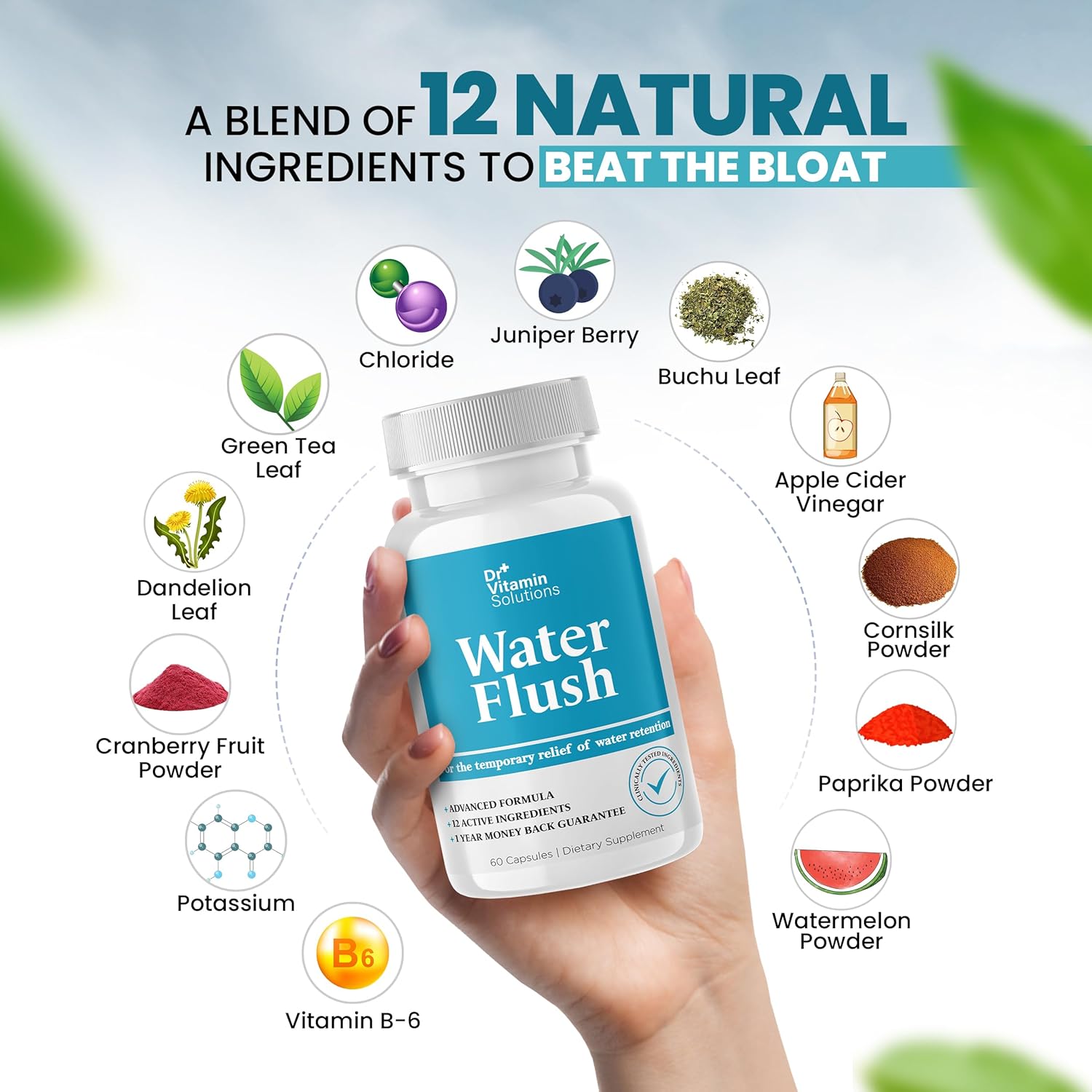 Diuretic Water Pills for Weight Management with 12 Active Ingredients - Green Tea, Cranberry & More - 60 Capsules