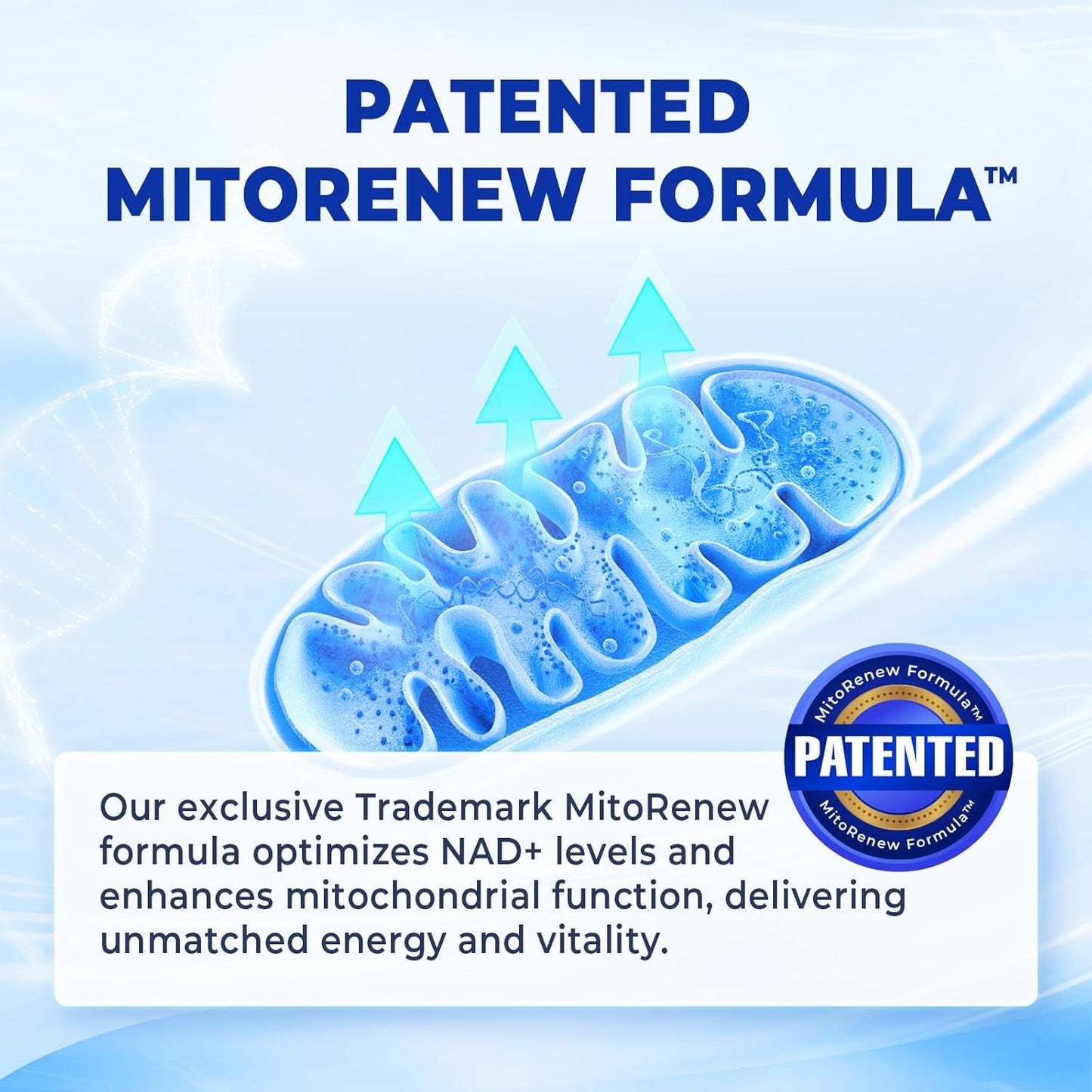 Divinity Nutra NAD+ Boost Supplement: Anti-Aging & Cell Regeneration, Cellular Energy Support, Patented Formula with NR, Grape Seed, PQQ & Ginkgo - 30 Days Supply