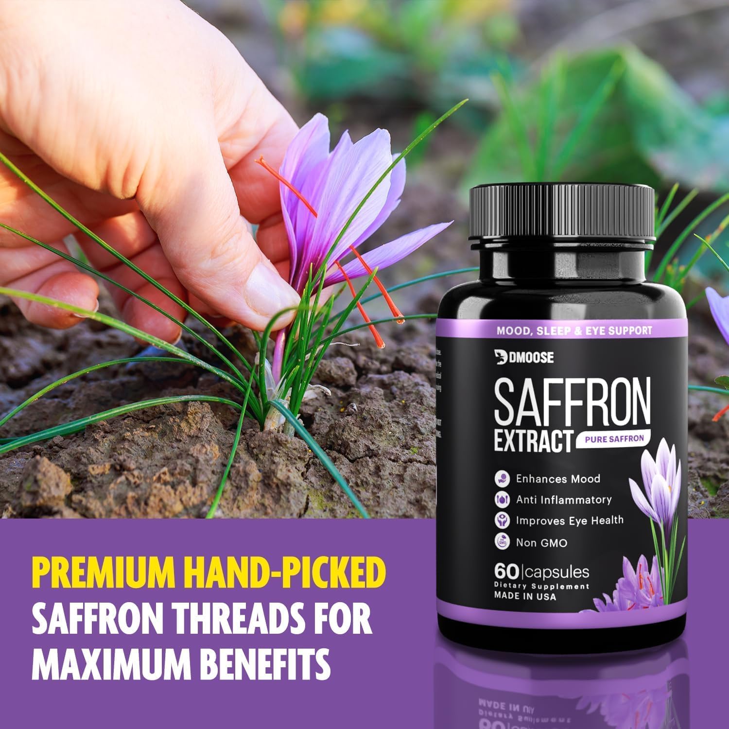 DMoose Fitness Saffron Extract Capsules - Boost Energy, Promote Eye Health - Non-GMO Supplement for Men & Women - 60 Capsules