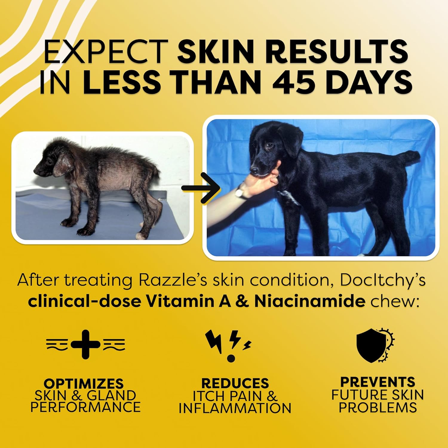DocItchy Hair Skin Nails Dog Chews | Vitamin A, B3, Omega 3 | Boost Skin Health | Prevent Irritation | Allergy Safe | 90 Count