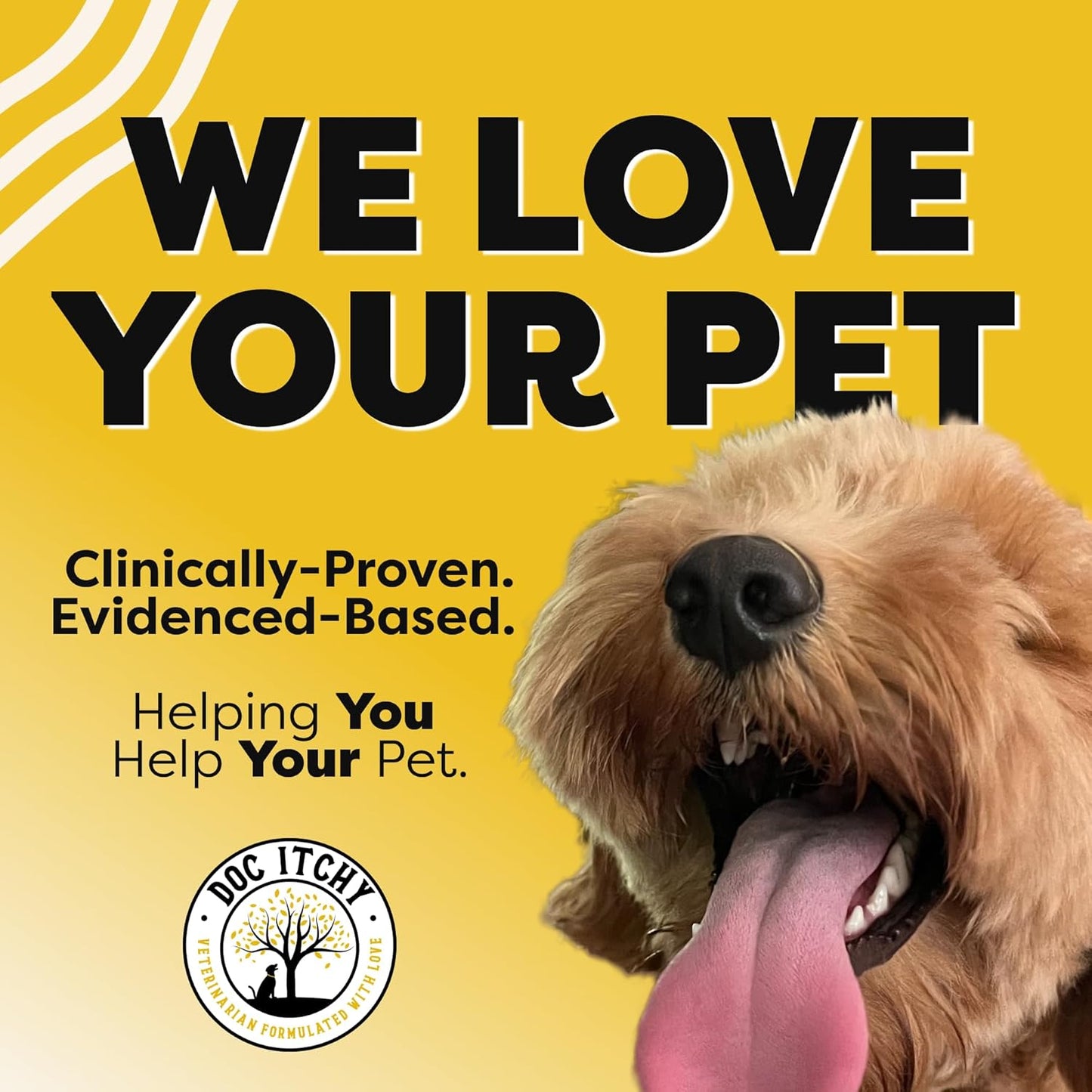 DocItchy Hair Skin Nails Dog Chews | Vitamin A, B3, Omega 3 | Boost Skin Health | Prevent Irritation | Allergy Safe | 90 Count