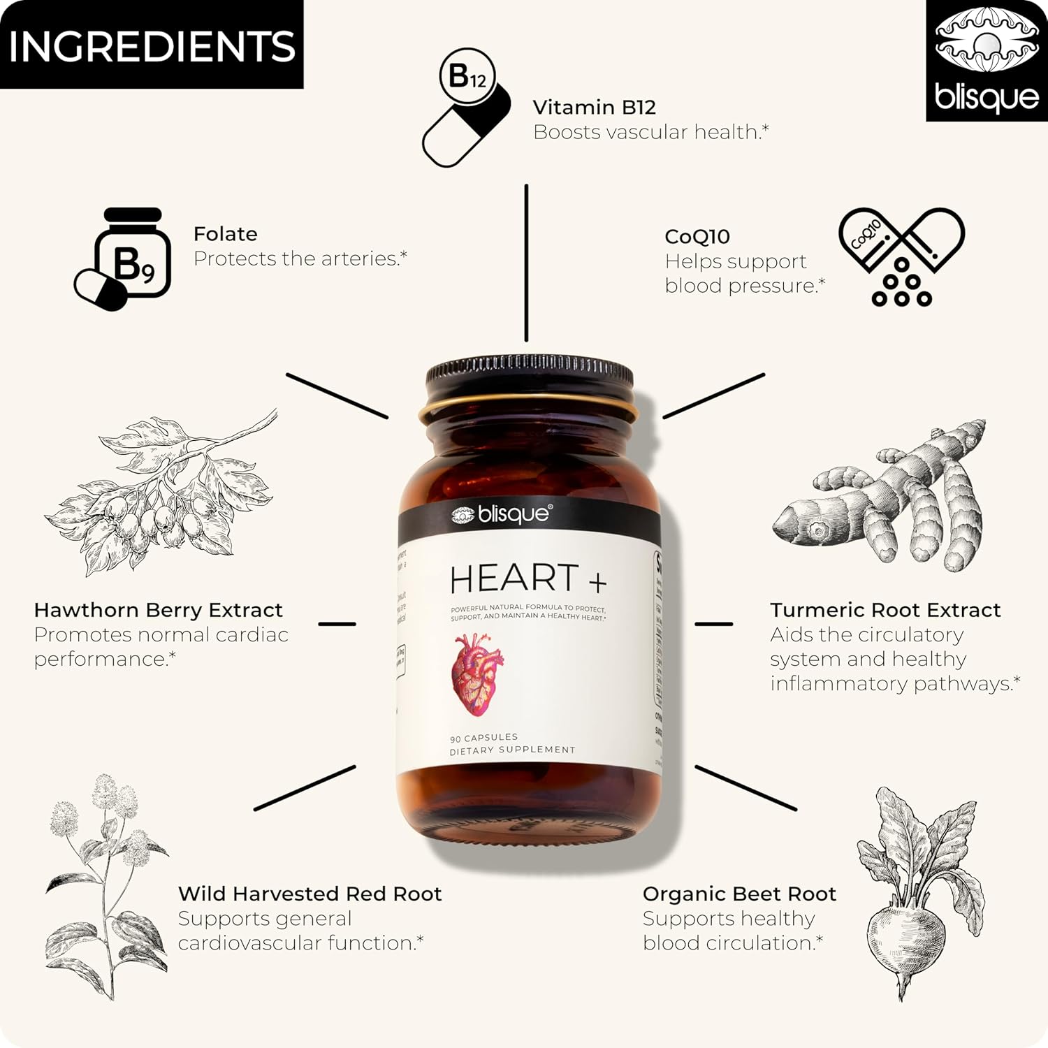 Doctor-Approved Blisque Supplement for Heart Health and Circulation | Natural Blood Pressure Support with CoQ10, Hawthorn Berry, Beet Root, Turmeric | 90 Capsules