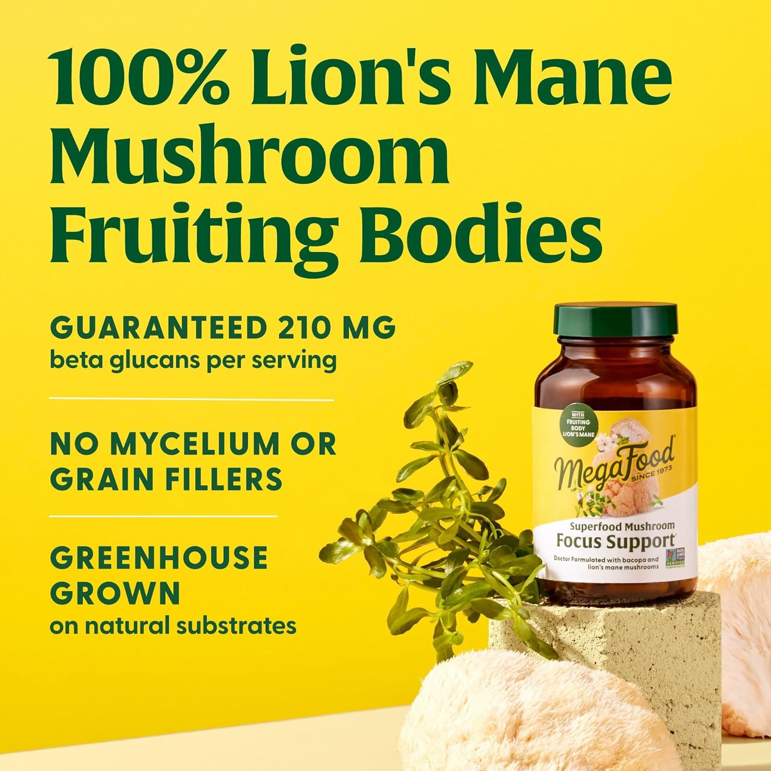 Doctor Formulated Lions Mane Mushroom Supplement Capsules for Focus Support - MegaFood Superfood with Bacopa - Vegan - 60 Capsules