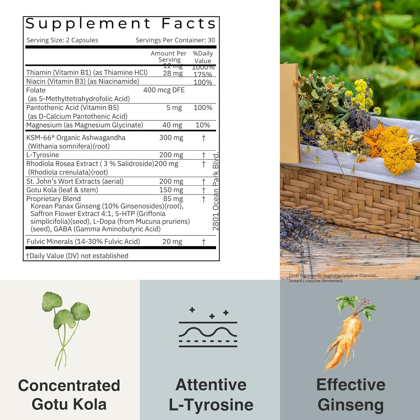 Doctor-Formulated Mood Support Supplement with KSM-66 Ashwagandha Extract, St. John’s Wort, Rhodiola Rosea, Saffron, Panax Ginseng, Gotu Kola - 60 Vegan Capsules