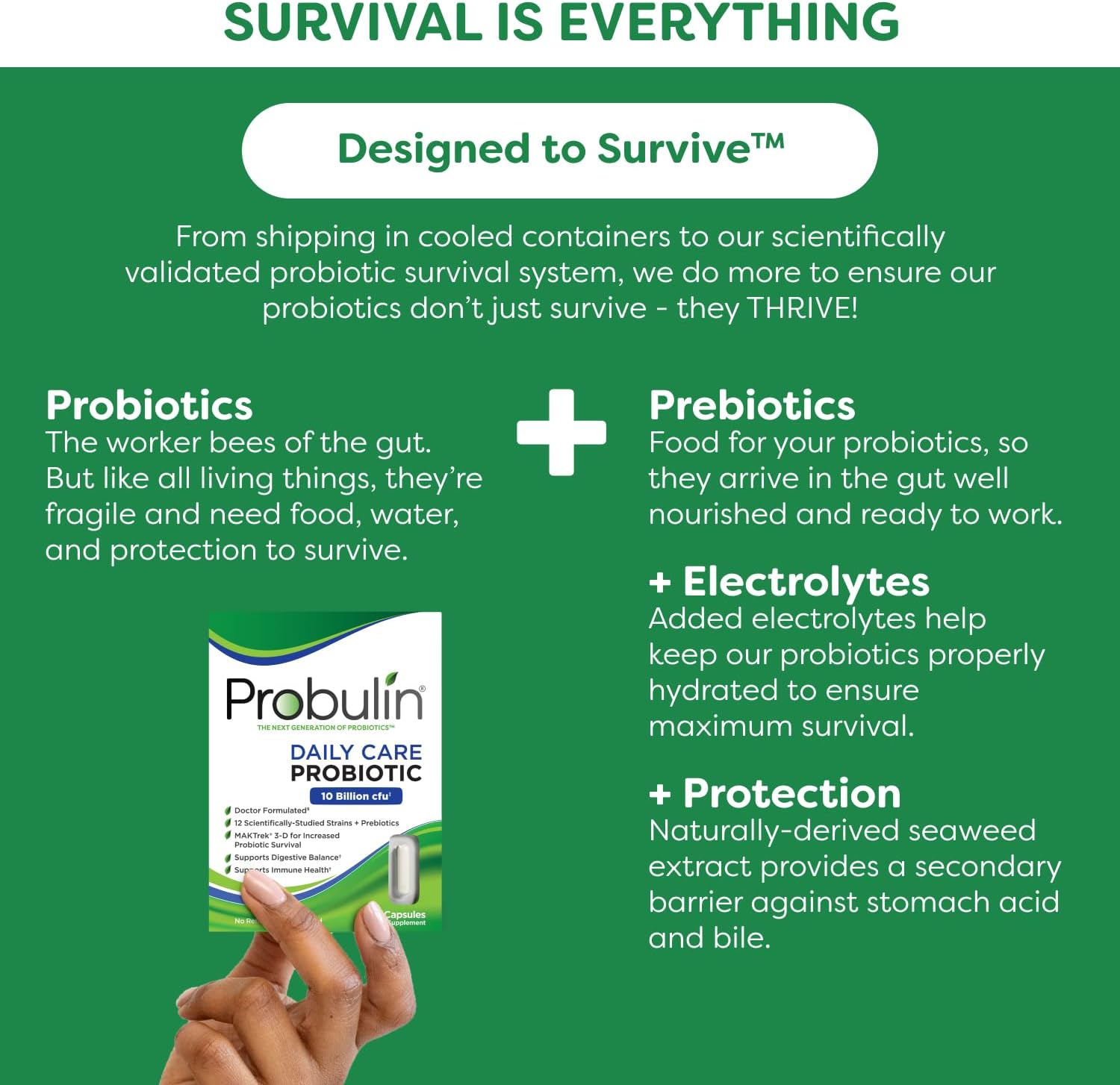Doctor Formulated Probulin Daily Care Probiotic - 10 Billion CFU - 12 Probiotic Strains - 60 Vegan Capsules - Digestive & Immune Support (Twin Pack)