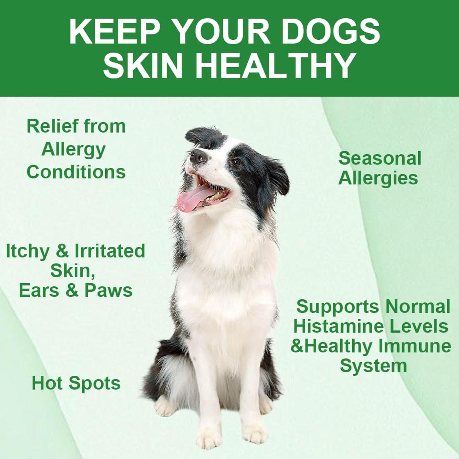 Dog Allergy Relief Chews with Probiotics and Immunity Support - Soothes Itchy Dogs, Supports Skin and Coat Health - 60 Tasty Bites