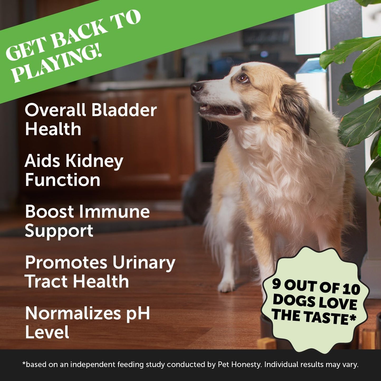 Dog Bladder Health Supplement with Cranberry & D-Mannose - Kidney Support for Dogs, Urinary Tract Health - Chicken Flavor