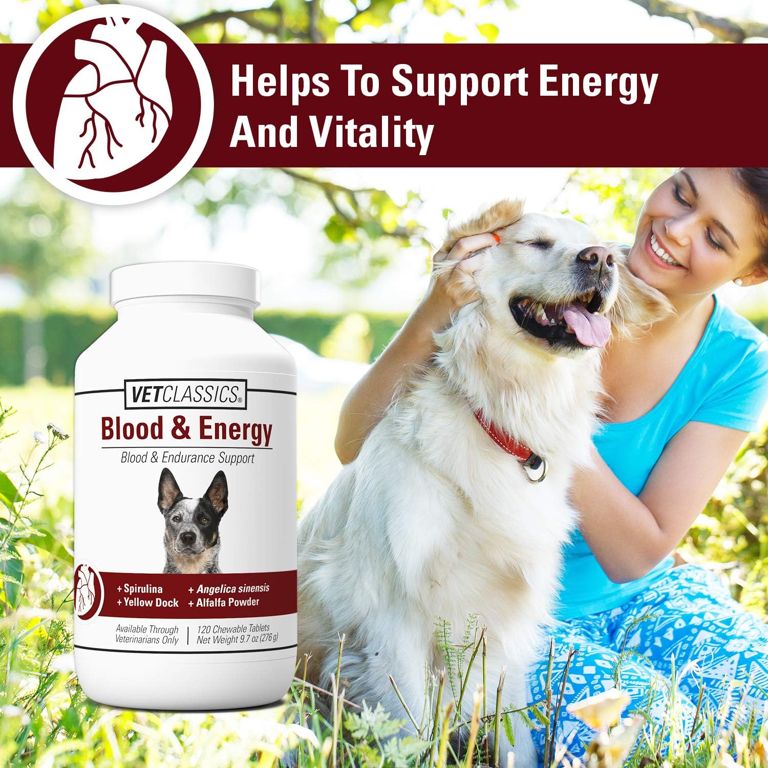 Dog Blood & Energy Support Tablets with Spirulina, Yellow Dock, & Alfalfa - 120 Chewables for Endurance & Hemoglobin Formation
