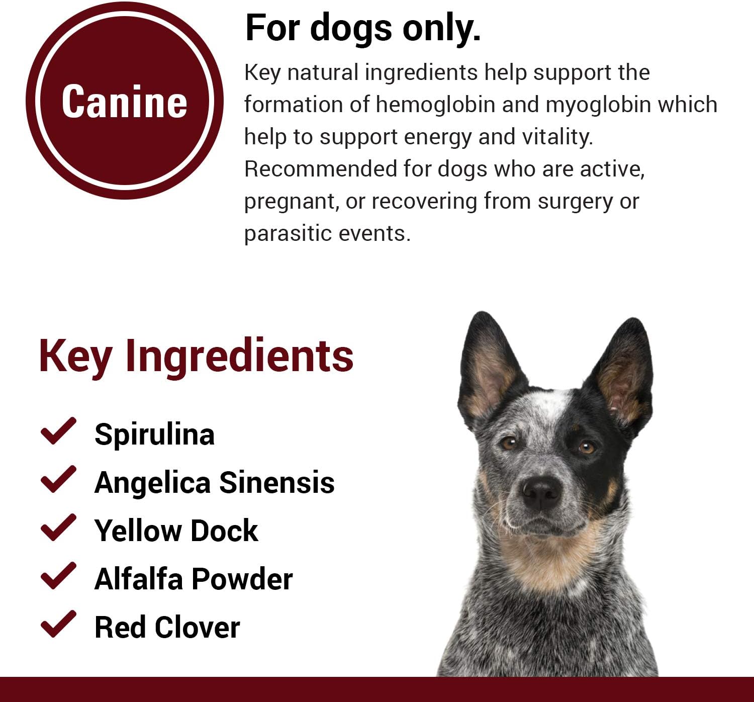 Dog Blood & Energy Support Tablets with Spirulina, Yellow Dock, & Alfalfa - 120 Chewables for Endurance & Hemoglobin Formation