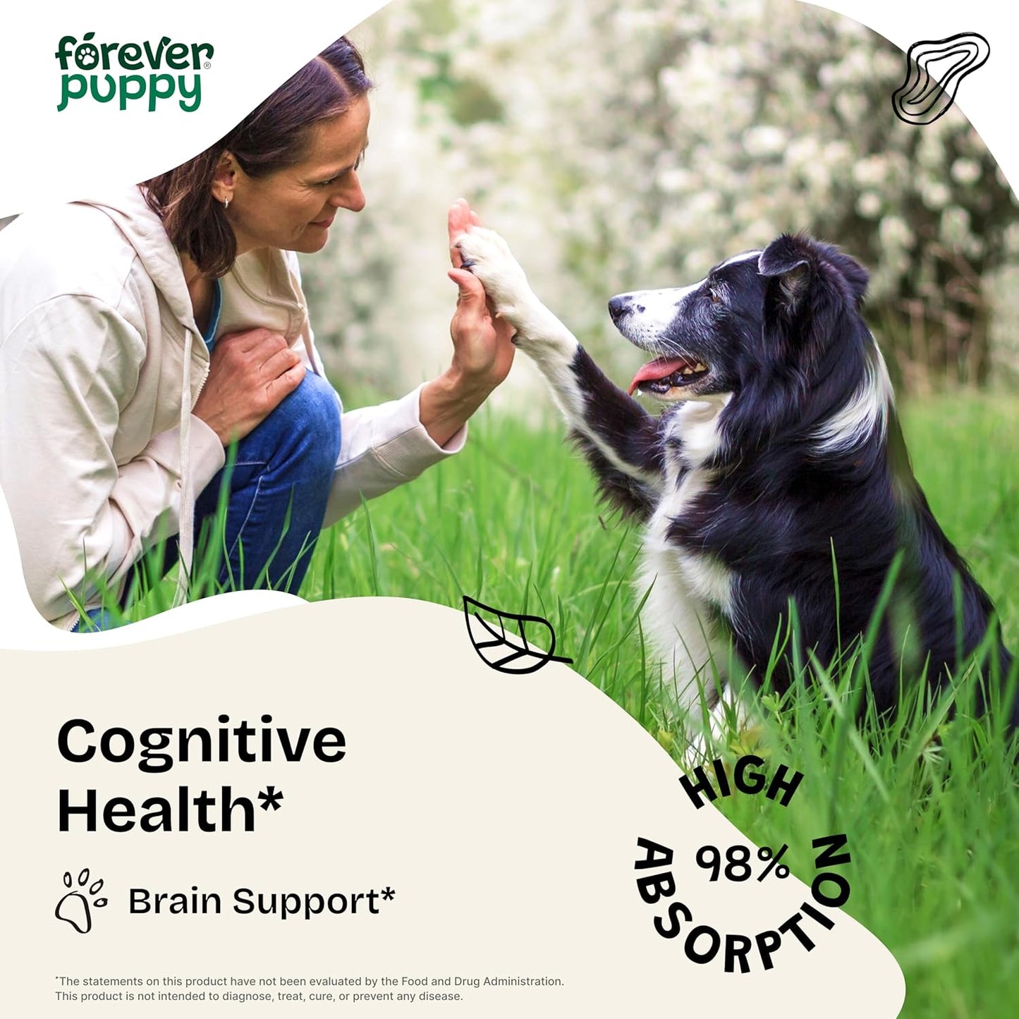 Dog Brain Support Drops with Lion's Mane, Ginkgo Biloba, and Ashwagandha - Cognitive Supplement for Dogs - 2 fl oz