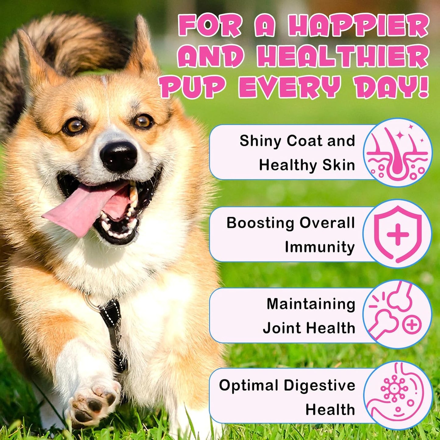 Dog Collagen Liquid Drops with Biotin, MSM & Ginger for Immunity & Digestive Support, Itch Relief, Skin & Coat, Joint Health - 60ml