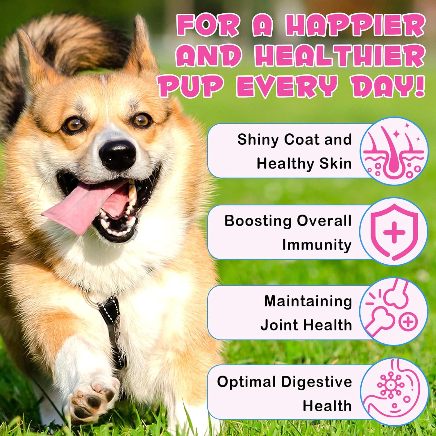 Dog Collagen Liquid Drops with Biotin, MSM & Ginger for Immunity & Digestive Support, Itch Relief, Skin & Coat, Joint Health - 60ml