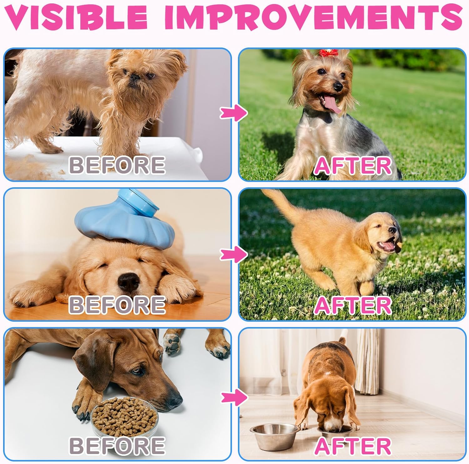 Dog Collagen Liquid Drops with Biotin, MSM & Ginger for Immunity & Digestive Support, Itch Relief, Skin & Coat, Joint Health - 60ml