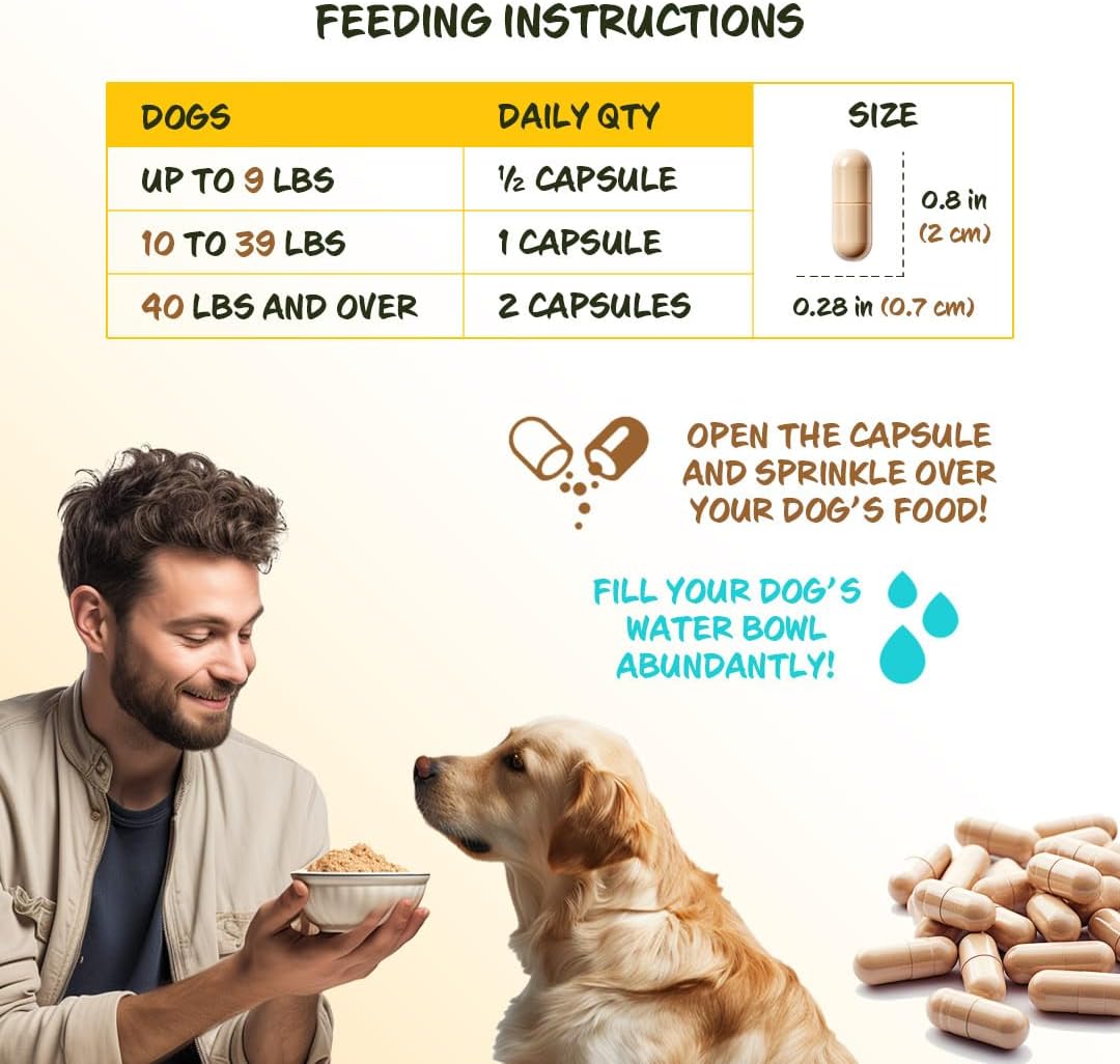 Dog Fiber Supplements with Psyllium Husk Seed for Digestive Health - Constipation Relief & Stool Hardener - 60 Capsules