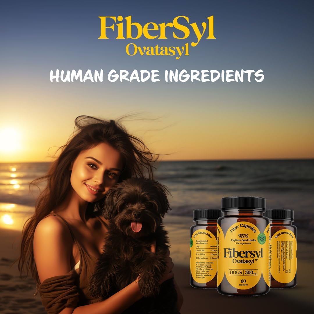 Dog Fiber Supplements with Psyllium Husk Seed for Digestive Health - Constipation Relief & Stool Hardener - 60 Capsules