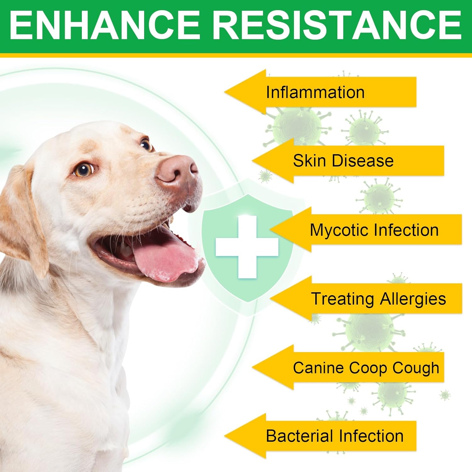 Dog Health Supplement Set: Antibiotics, Multivitamins, Topical Antibiotic for Skin Infections - 1 Piece