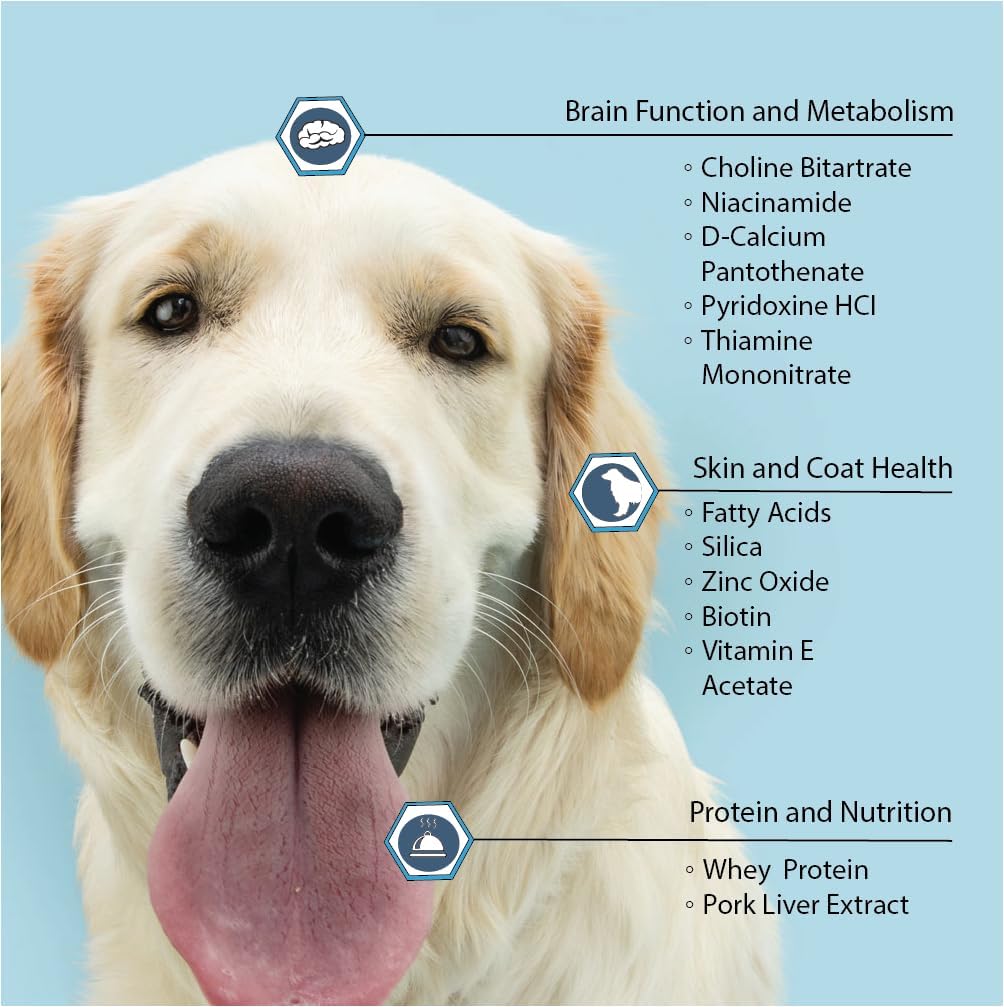 Dog Health Supplement: Vita-Tabs for Immune Support, Bone Health - 60 Liver Flavored Chewable Tablets - Essential Vitamins, Minerals, Nutrients