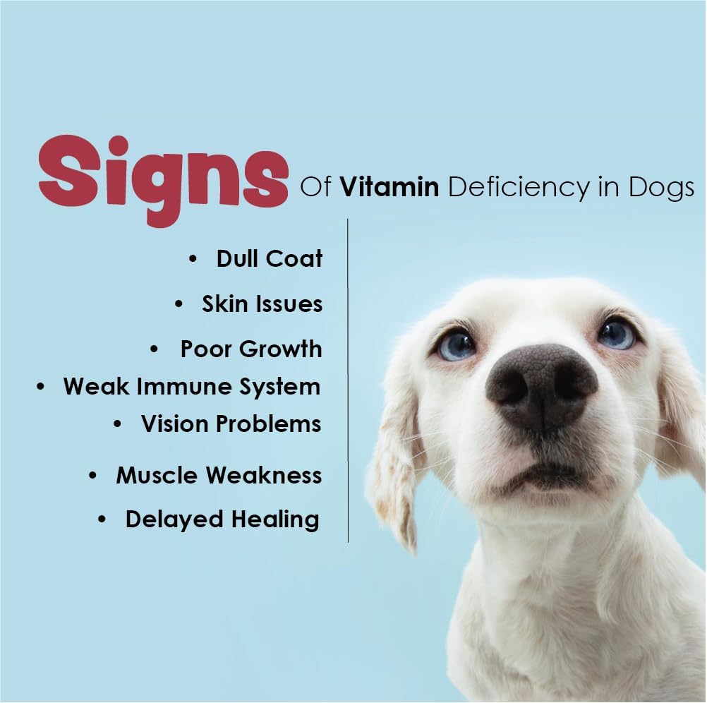 Dog Health Supplement: Vita-Tabs for Immune Support, Bone Health - 60 Liver Flavored Chewable Tablets - Essential Vitamins, Minerals, Nutrients