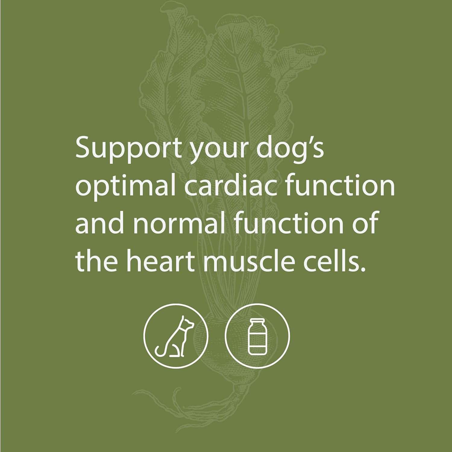 Dog Heart Health Supplement with Selenium - Nutritional Formula for Cardiac Function - Pet Health Support - 25 g
