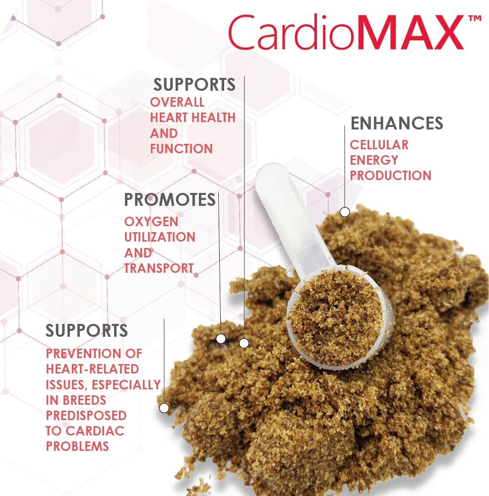 Dog Heart Support Granules with L-Taurine, L-Carnitine, EPA, DHA, Coenzyme Q10 - Promotes Cardiovascular Health, Muscle Function - 90 Doses, Made in USA