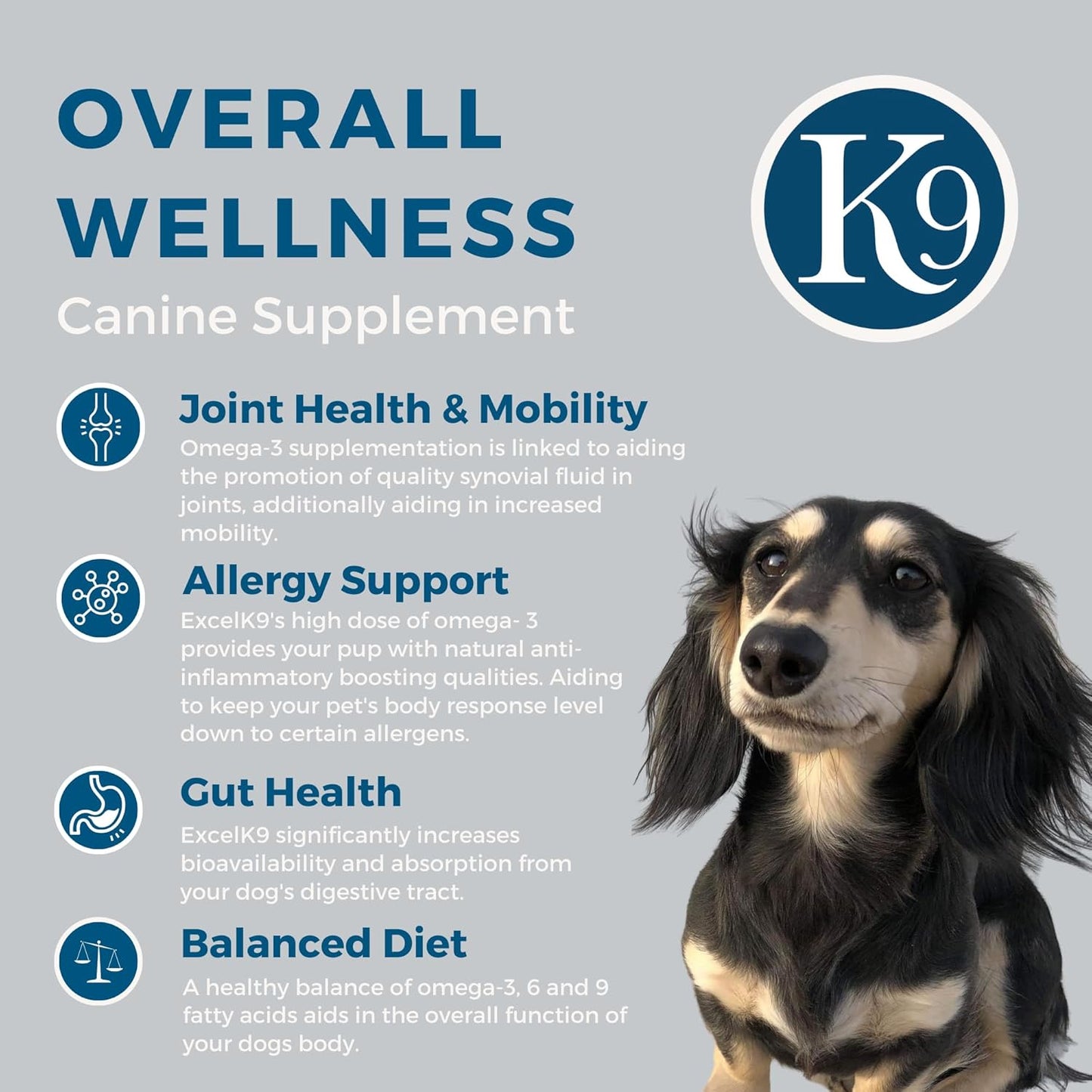 Dog Joint Mobility and Skin Health Supplement - Excel Supplements for Canines