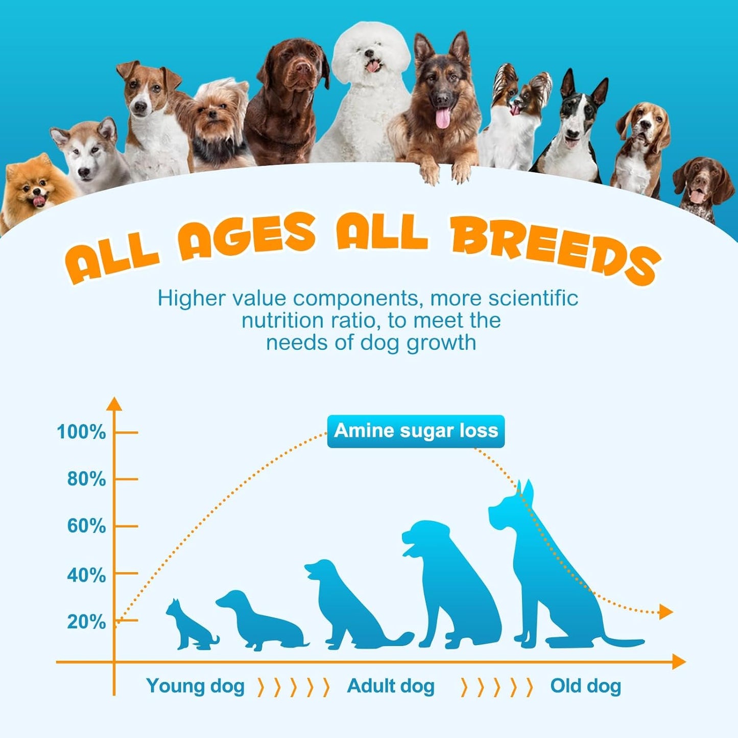 Dog Multivitamin Chewable with Glucosamine - 15-in-1 Health Support for Dogs of All Ages and Breeds - 120 Soft Chews Duck Flavor