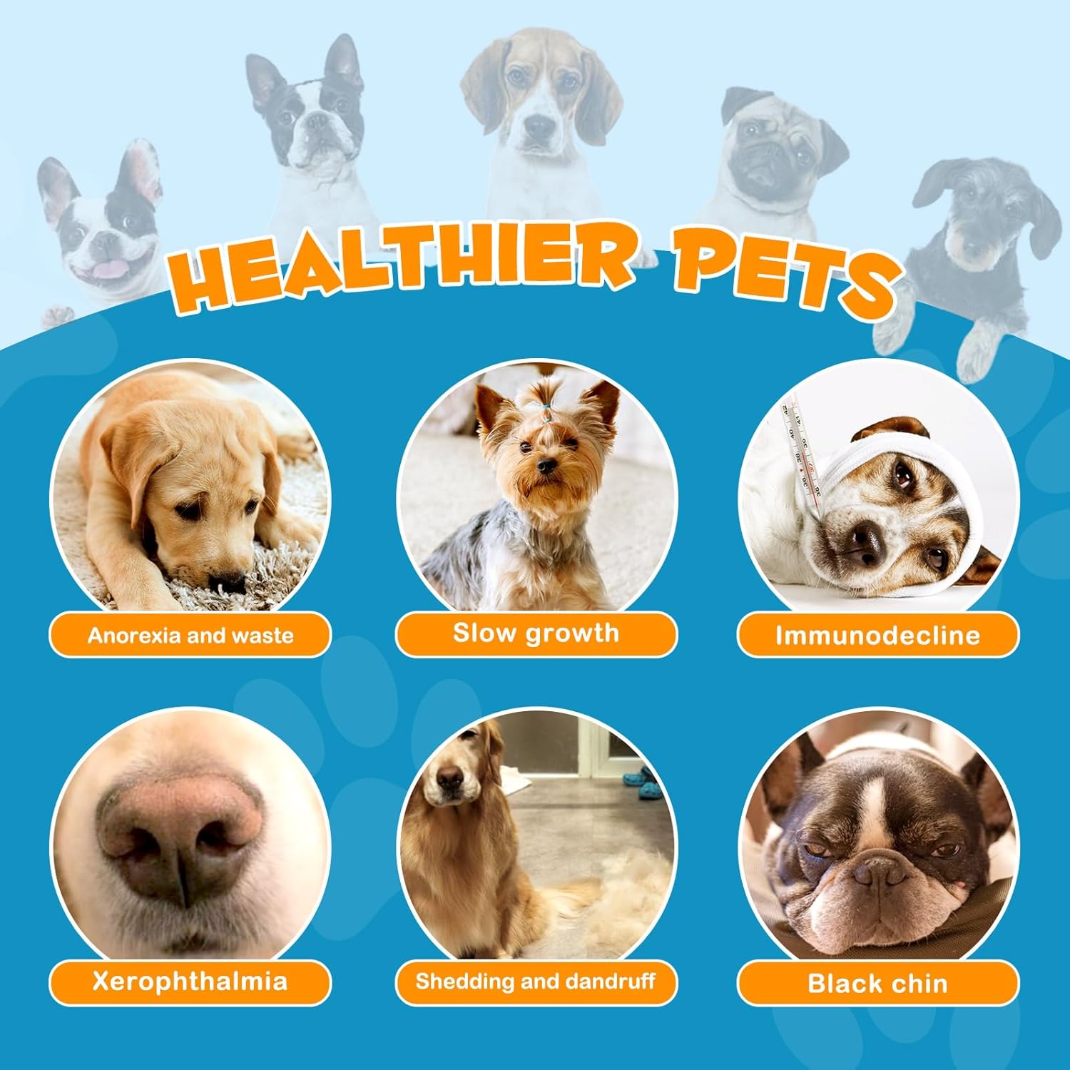 Dog Multivitamin Chewable with Glucosamine - 15-in-1 Health Support for Dogs of All Ages and Breeds - 120 Soft Chews Duck Flavor