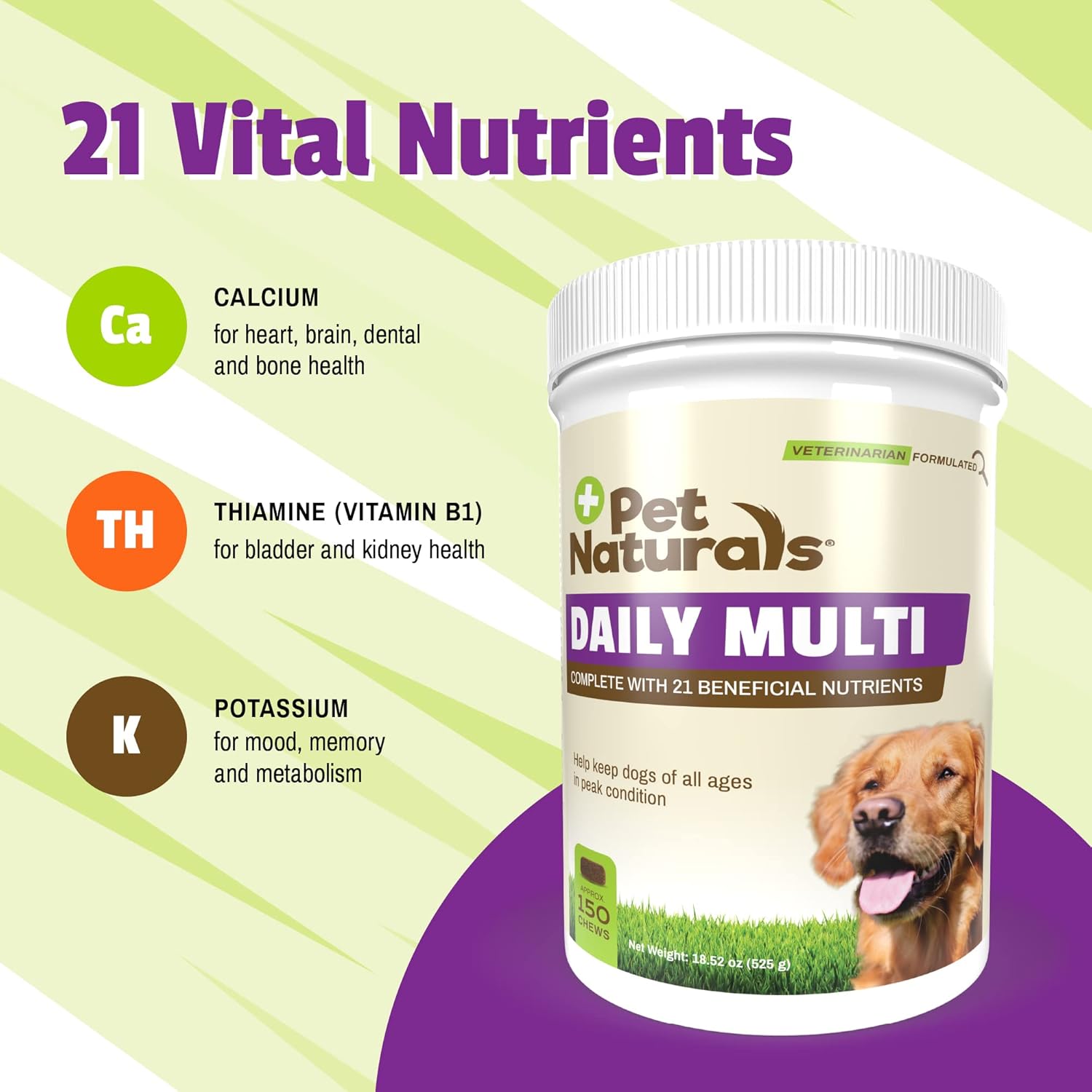 Dog Multivitamin Chews with Amino Acids and Antioxidants for Energy and Wellness - 150 Veggie Flavored Treats