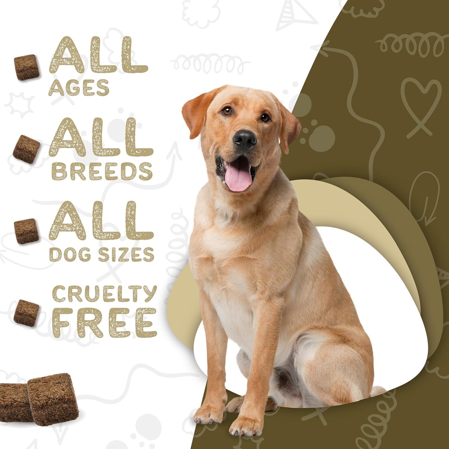 Dog Multivitamin & Immune System Support Soft Chews for Small/Large Dogs - 120 Count