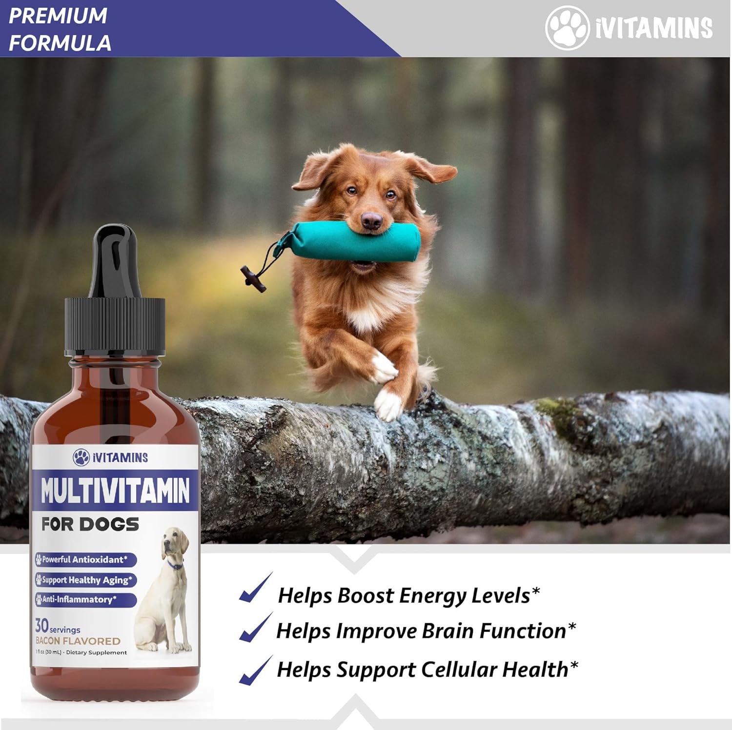 Dog Multivitamin Liquid Supplement for Joint, Gut, Immune, Skin, and Heart Health - 1 fl oz