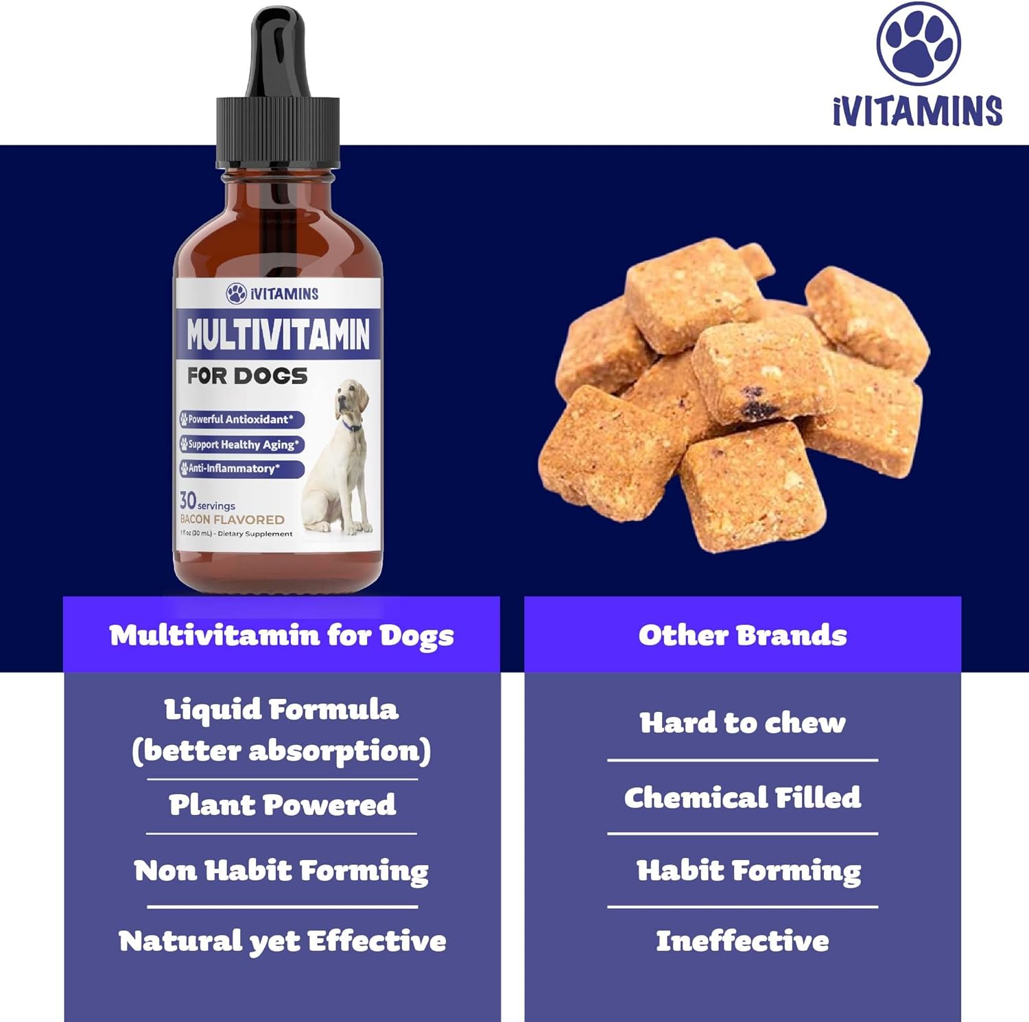 Dog Multivitamin Liquid Supplement for Joint, Gut, Immune, Skin, and Heart Health - 1 fl oz
